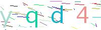 Verify Code